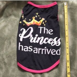 *4 for $28* Princess Pet t-shirt * Like New*
